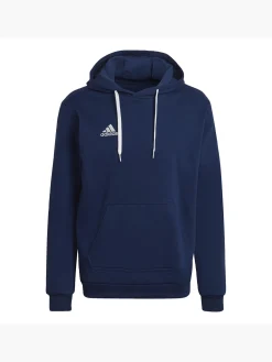Entrada 22 Sweat Hoodie