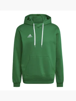 Entrada 22 Sweat Hoodie