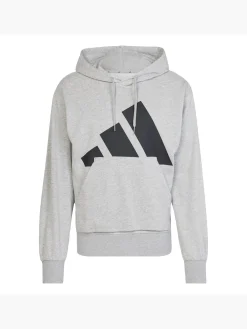 Essentials Big Logo French Terry Hoodie