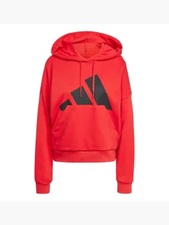 Essentials Big Logo French Terry Loose Hoodie