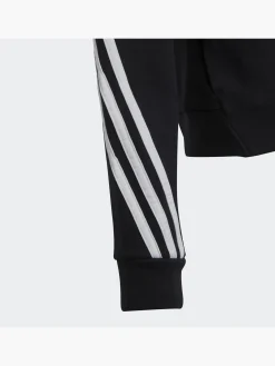 Future Icons 3-Streifen Kapuzenjacke